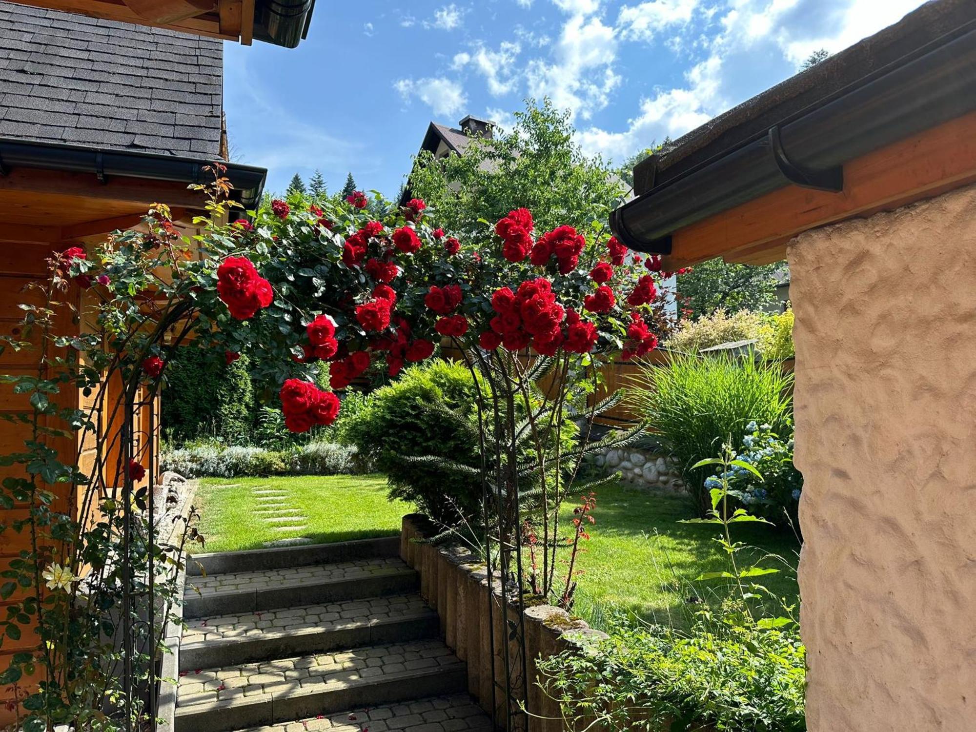 Marang Domki I Apartamenty Szczyrk Extérieur photo